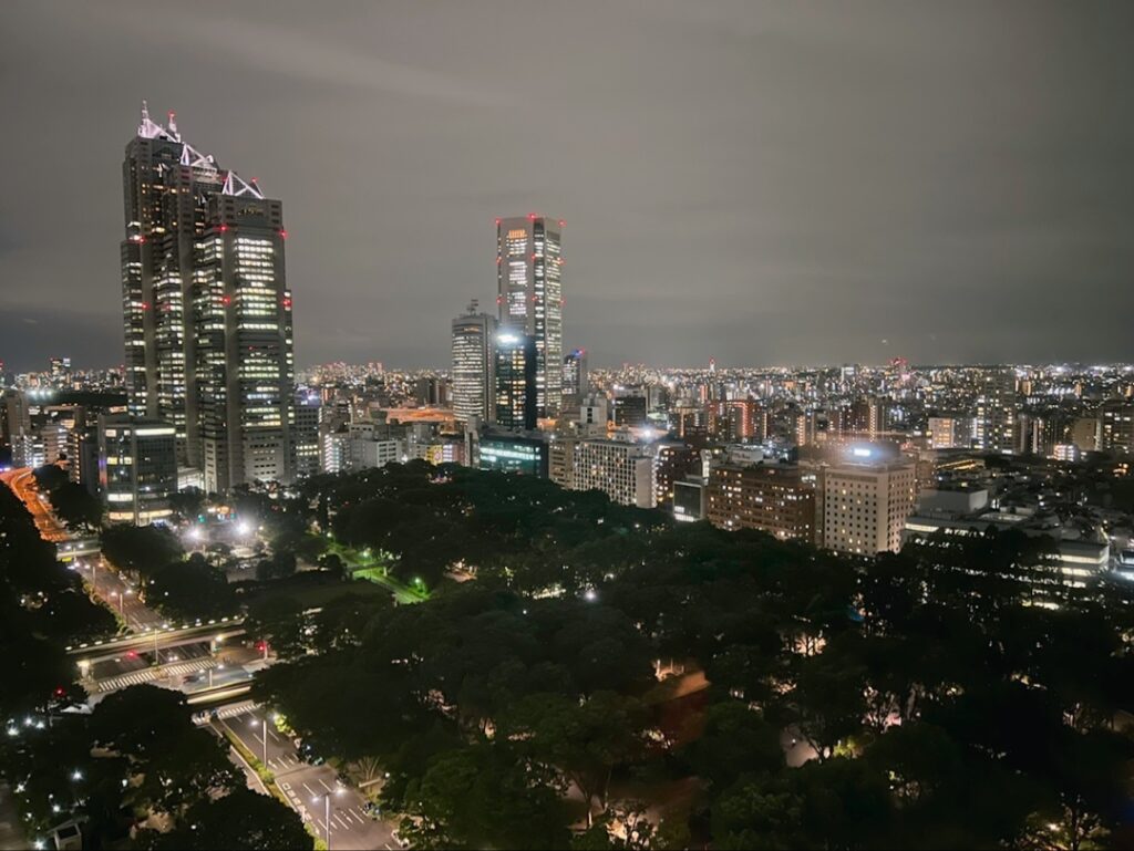 ハイアットリージェンシー東京_ビューデラックスルーム_部屋からの眺め・眺望
