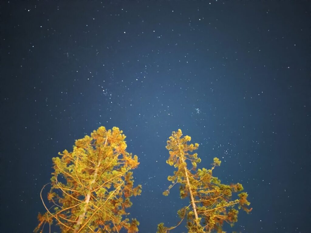 Rakuten STAY VILLA 日光_A棟