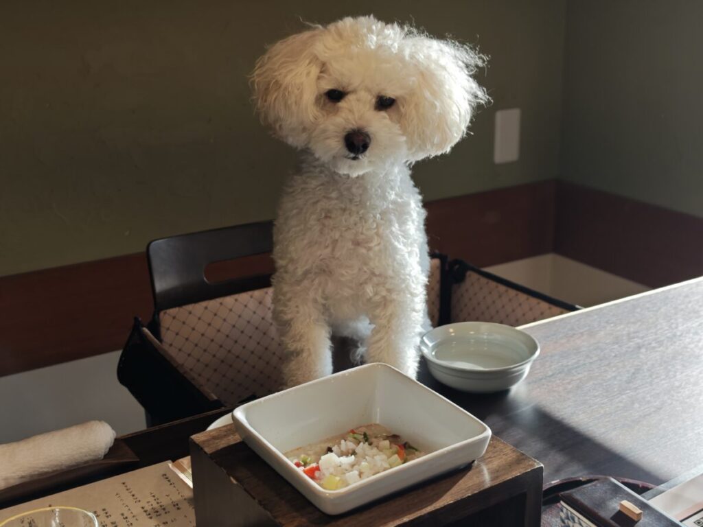 レジーナリゾート伊豆無鄰_料亭 悠々_朝食