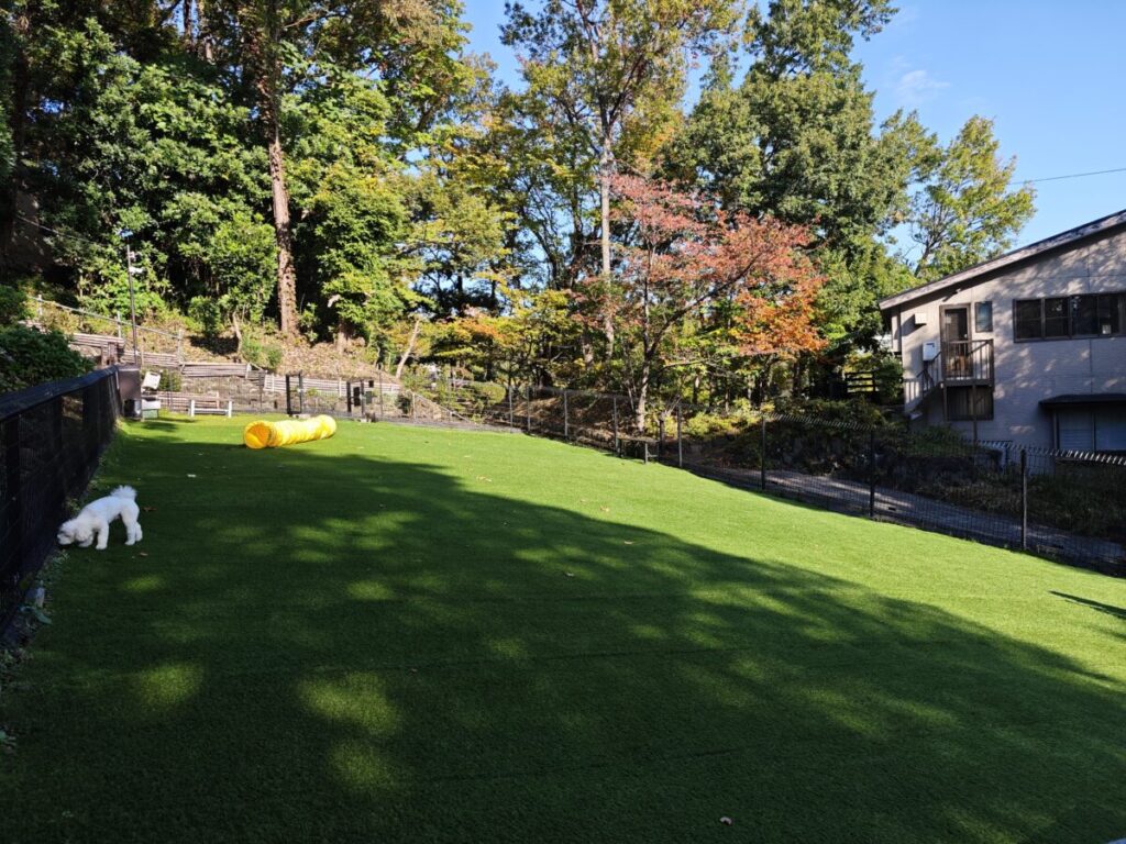 レジーナリゾート伊豆無鄰_ドッグラン