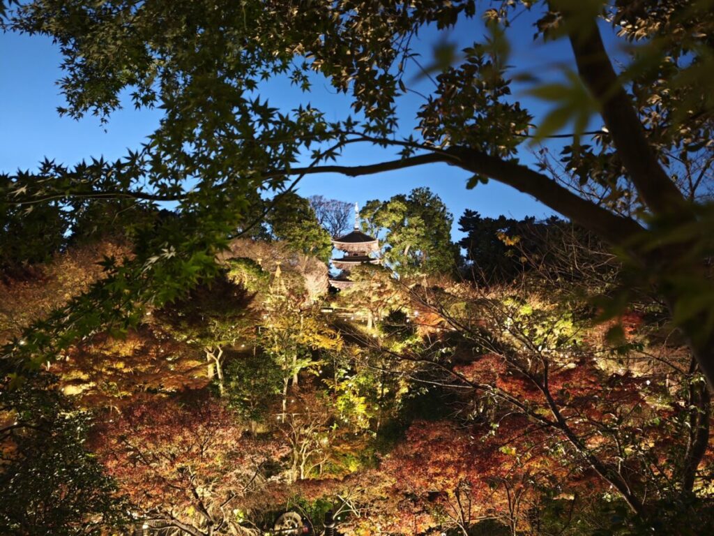 ホテル椿山荘東京_日本庭園
