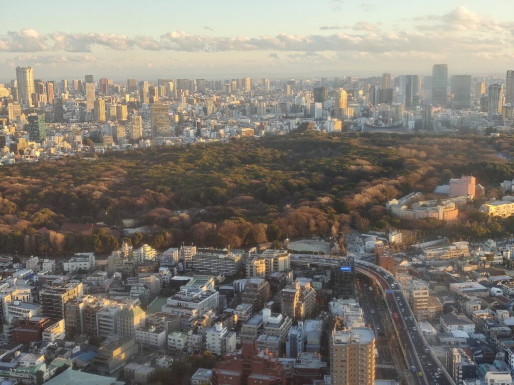パークハイアット東京_デラックスルーム