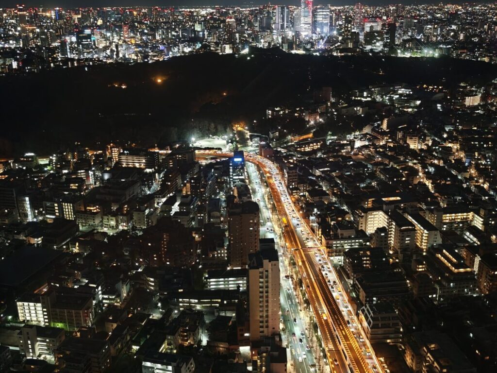 パークハイアット東京_デラックスルーム