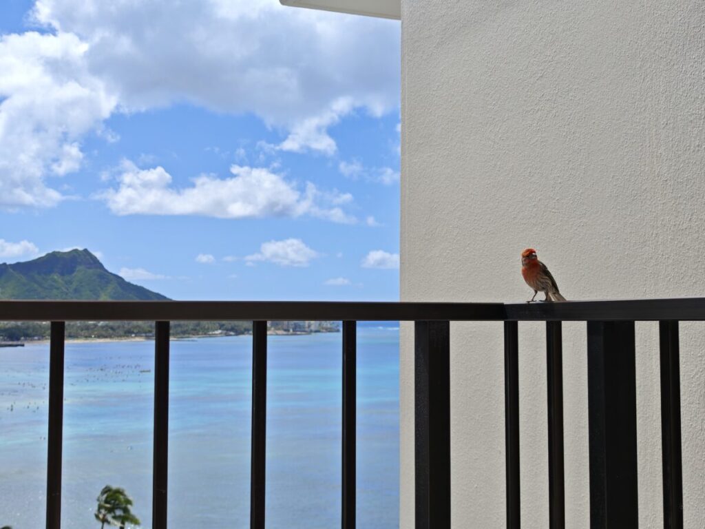 ハレクラニホテル_ハワイ_ダイヤモンドヘッド オーシャンフロント プライム