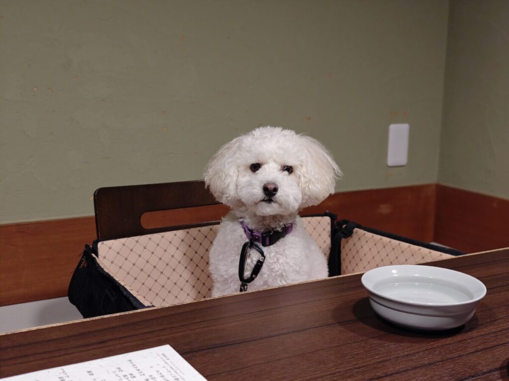 レジーナリゾート伊豆無鄰_料亭 悠々