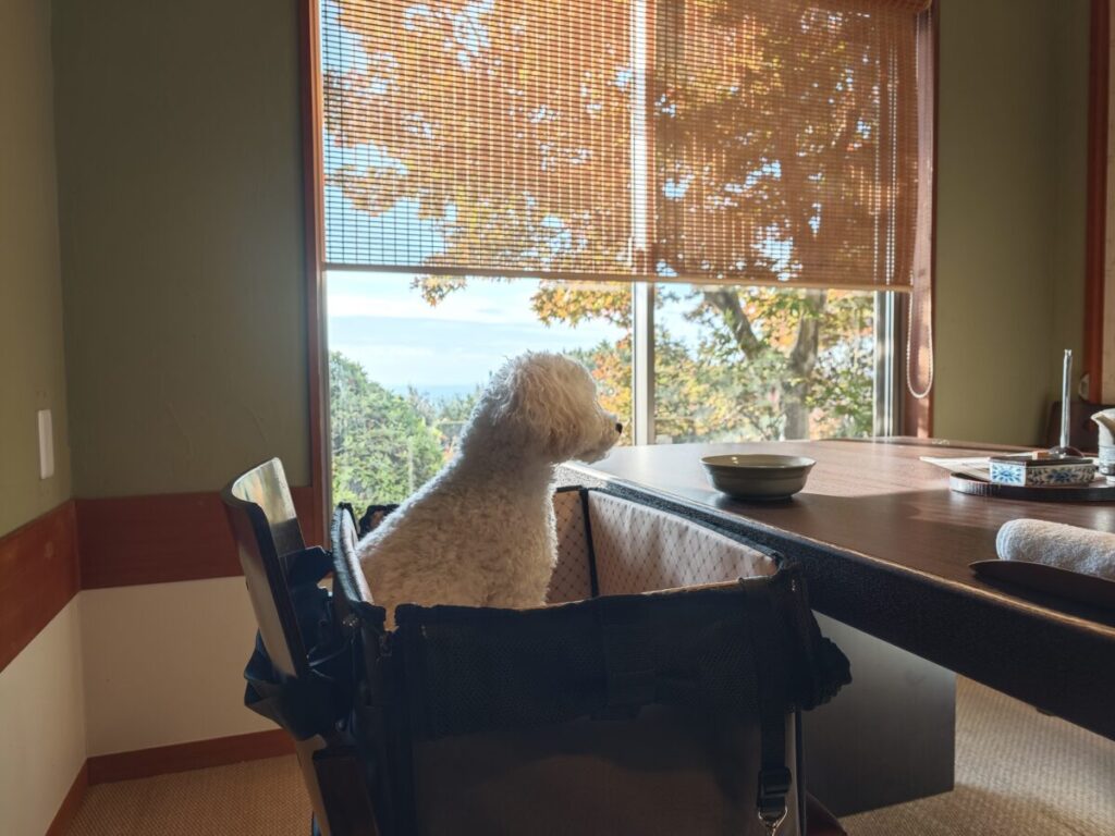 レジーナリゾート伊豆無鄰_料亭 悠々