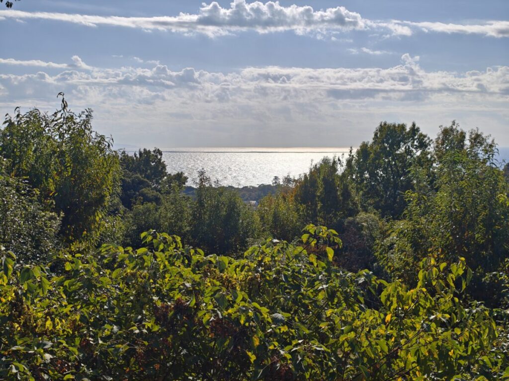 レジーナリゾート伊豆無鄰_客室_つつじ